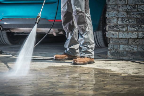 Best Soft Washing  in Minonk, IL