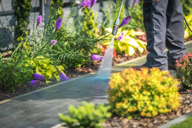 Best Restaurant Pressure Washing  in Minonk, IL