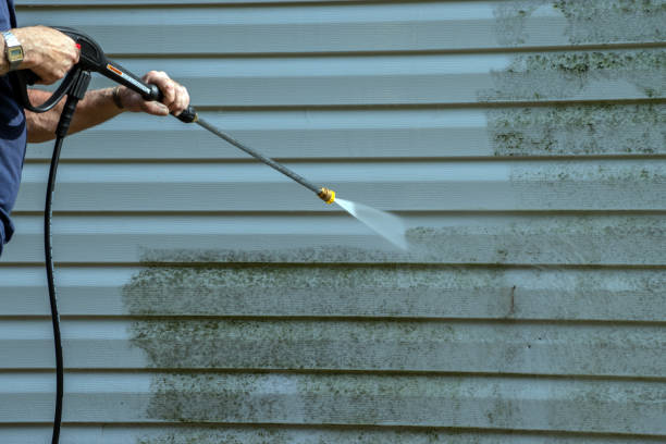 Best Gutter Cleaning  in Minonk, IL